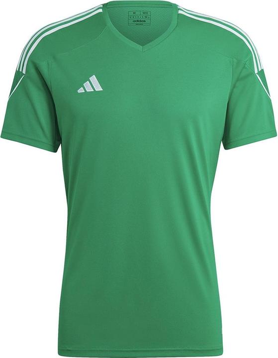 adidas Herren Tiro 23 League Trikot Grün IC7477 (S) (S)