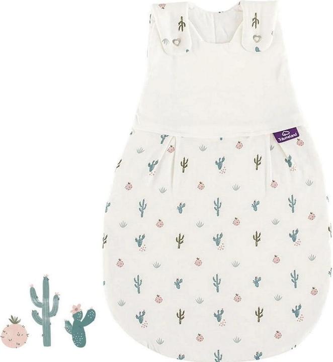 Amore per i cactus