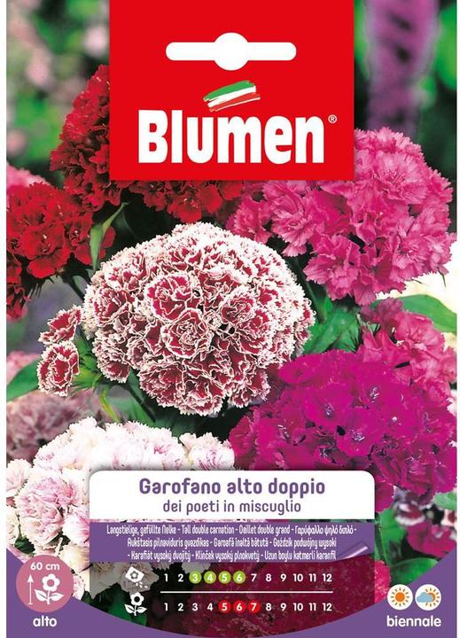 Immagine prodotto Blumen Semi Miscela di garofani a gambo lungo e doppio (Semi di fiori)