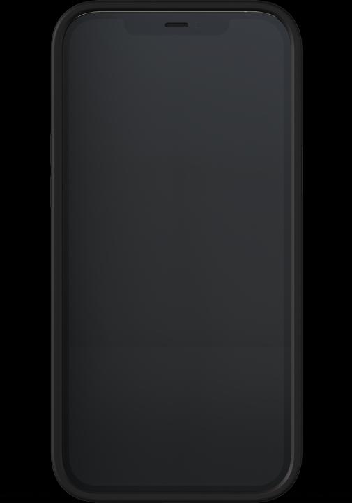Image du produit Richmond & Finch Exposition de fleurs iPhone 12 Pro Max (Apple iPhone 12 Pro Max)