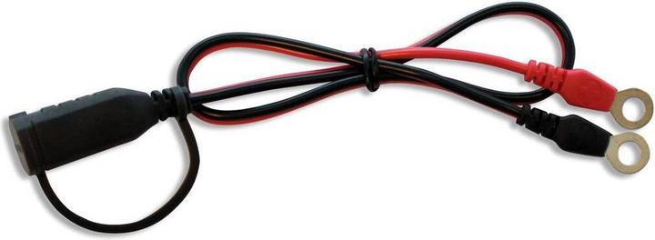Actual product image Ctek Battery connection cable Comfort Connect Eyelet M6