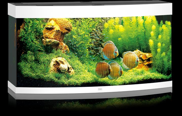 Produktbild Juwel Aquarium Vision 260 Aquarium 121x46x62cm weiss (260 l)
