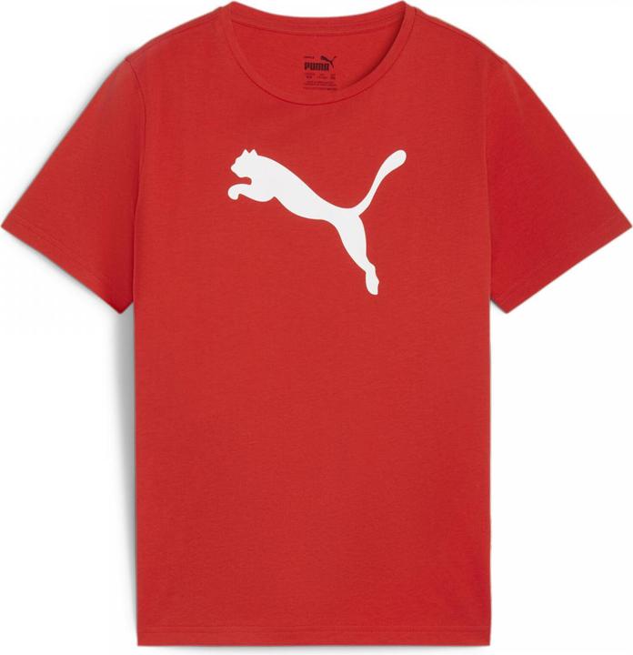 Actual product image Puma teamRISE Logo Jersey Cotton Jr (140)