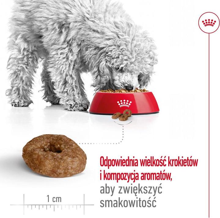 Image du produit Royal Canin Aliments secs pour adultes (Senior, 1 pcs, 3500 g)