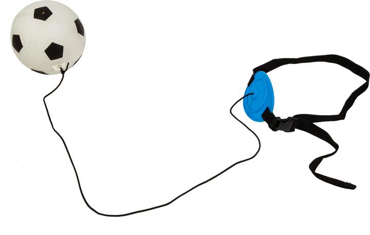 Immagine prodotto Sport X Formatore d'avvio