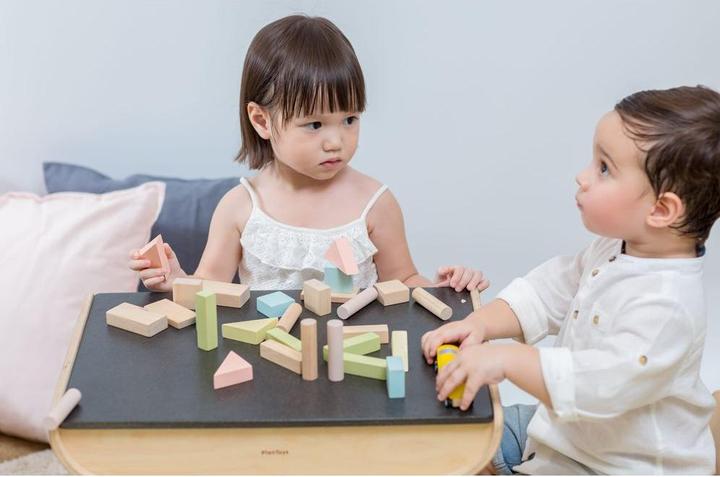 Image du produit Plantoys 40 blocs de bois pastel