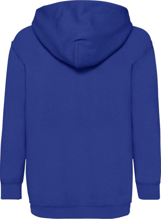 Actual product image Fruit of the Loom Childrens/Kids Classic Hooded Sweatshirt (152, 158)