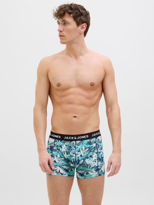 Image du produit Jack & Jones Shorts Shorts (S, Pack de 5)