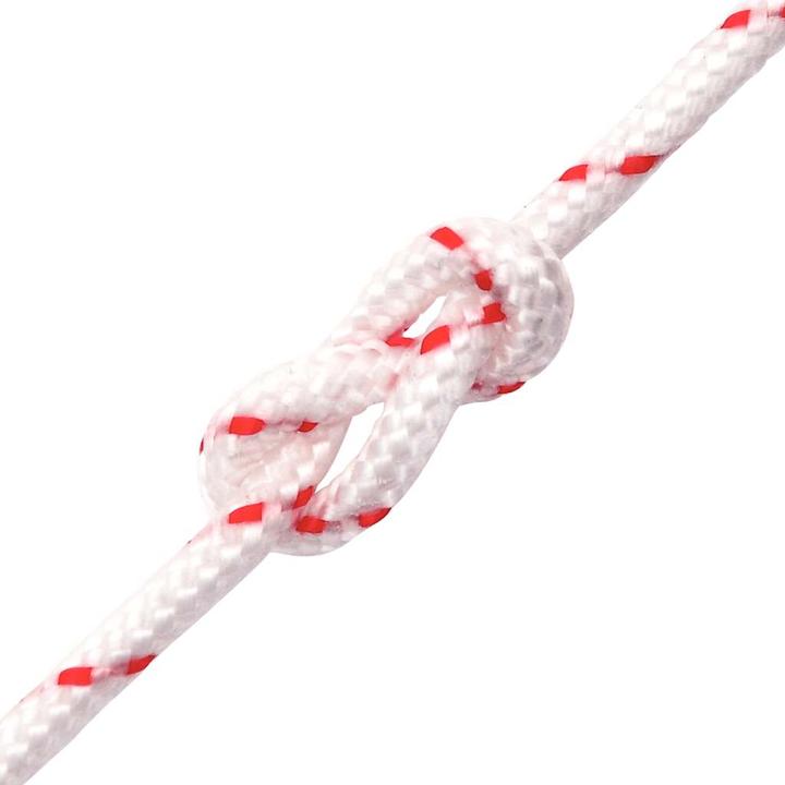 Immagine prodotto VidaXL Corda di avviamento e Ø5 mm 10 m di nylon (10 m)