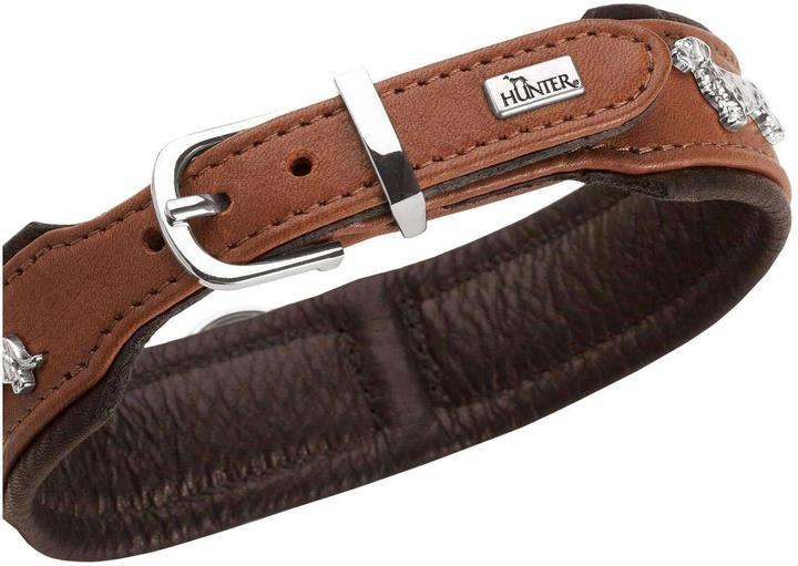 Actual product image Hunter Dachshund collar Munich 37/XS-S, cowhide leather (37, Dog, General)