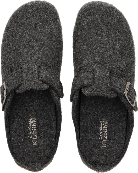 Image du produit Living Kitzbühel Chausson en feutre (41)