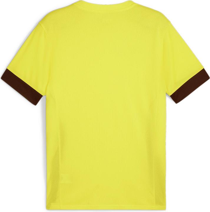 Actual product image Puma teamGOAL Matchday Jersey (XL)