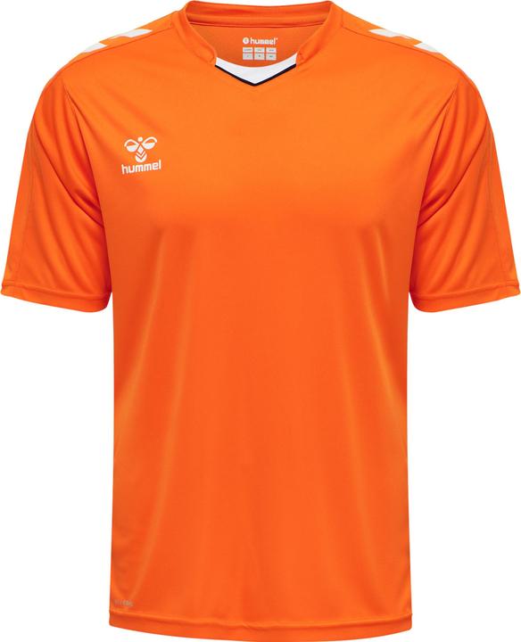 Orange tiger