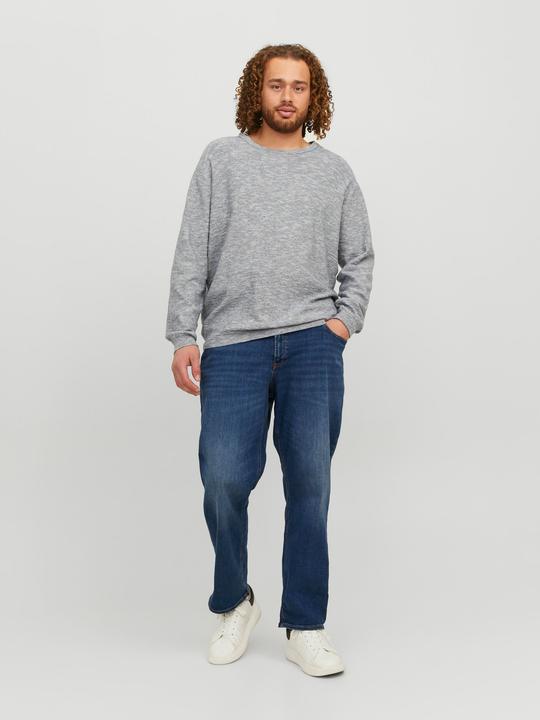 Image du produit Jack & Jones Mike Original AM 782 Plus Size Comfort Fit Jeans (46)