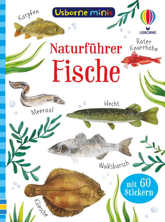 Produktbild Minis Naturführer: Fische (Deutsch, Kate Nolan, 2022)