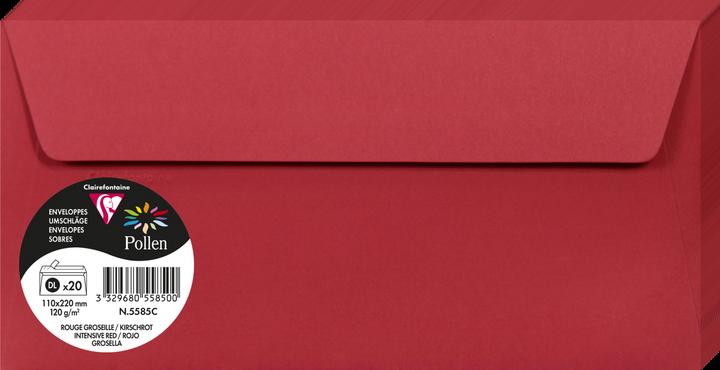 Actual product image Pollen Envelopes (DL, 20 x)
