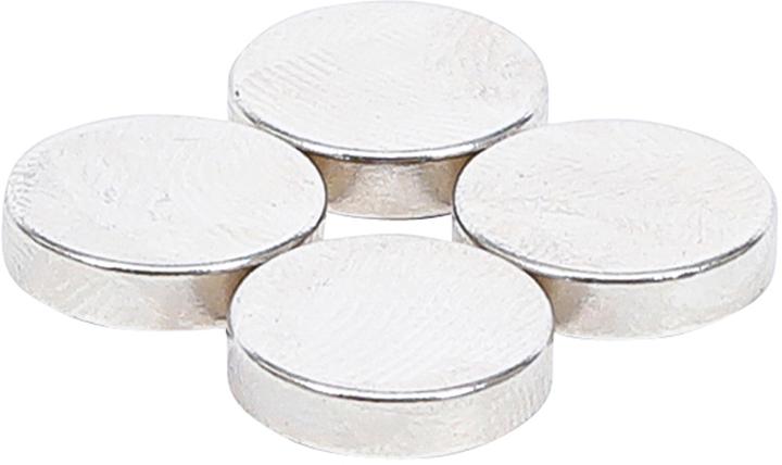 BGS Magneetset (4 x)