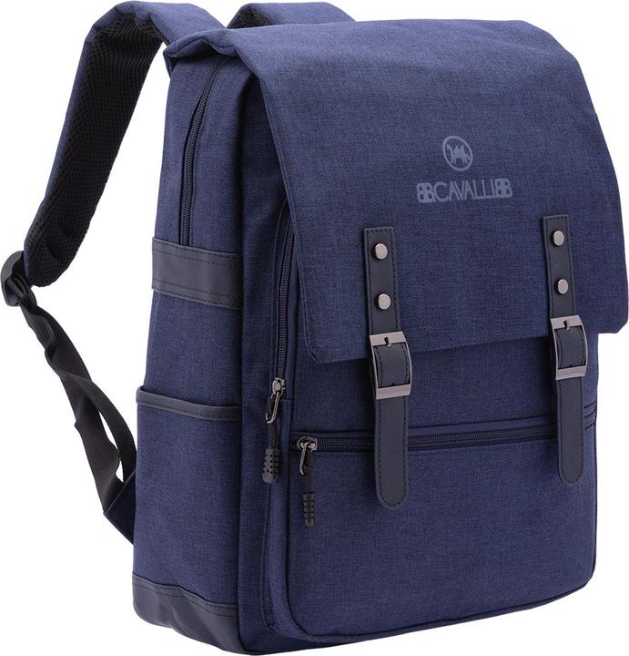 Immagine prodotto B.Cavalli Bc1290 (5.16 l)