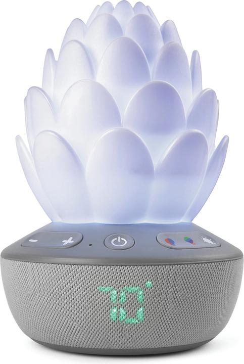 Skiphop Succulent night light
