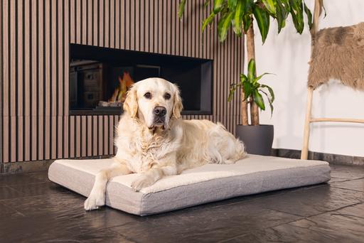 Immagine prodotto Beeztees Zira (Cane)