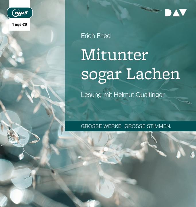 Image du produit Parfois même des rires (Erich Fried, Allemand)