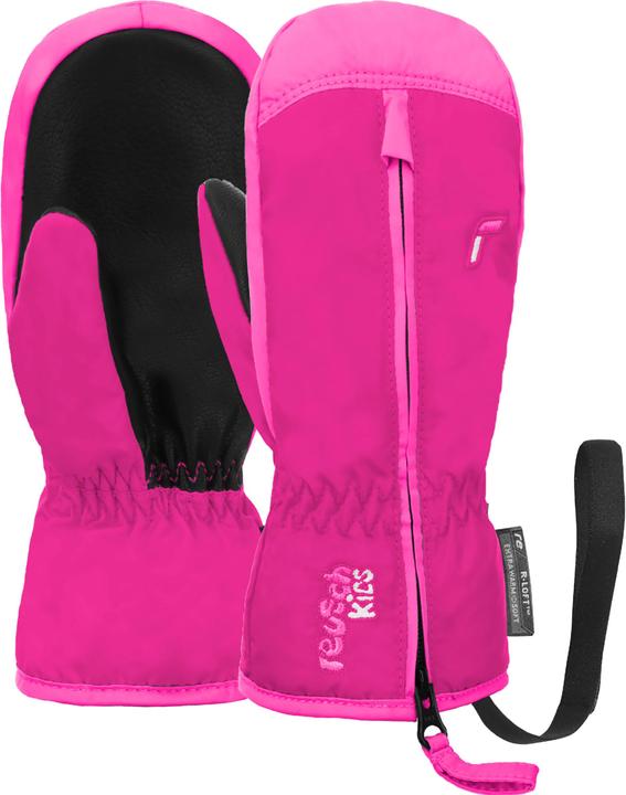 Fuchsia Purple / Knockout Pink