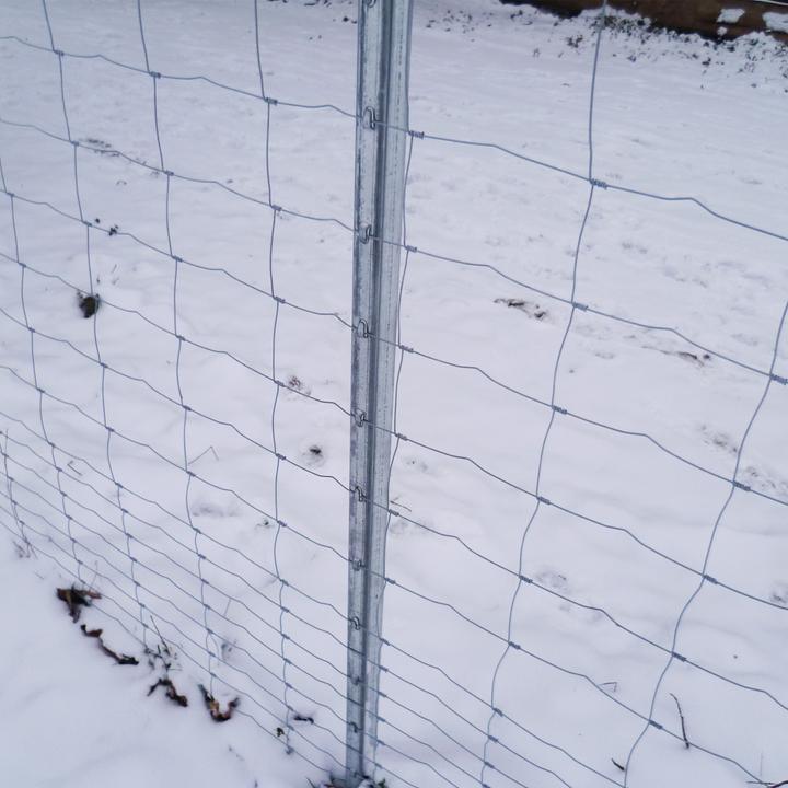 Actual product image Aquagart 150 Z-Profil Zaunpfosten 1,80m Wildzaun Forstzaun Zaun