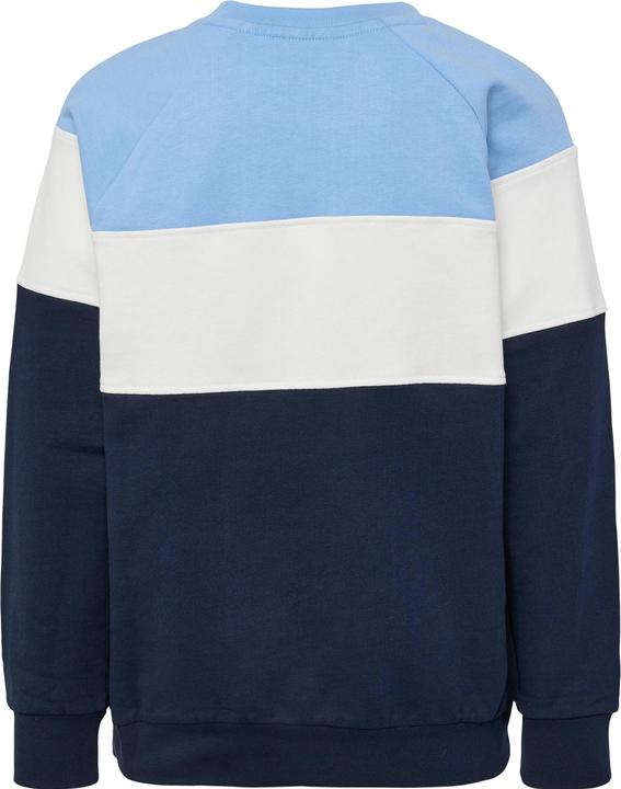 Image du produit hummel hmlCLAES SWEATSHIRT (110)