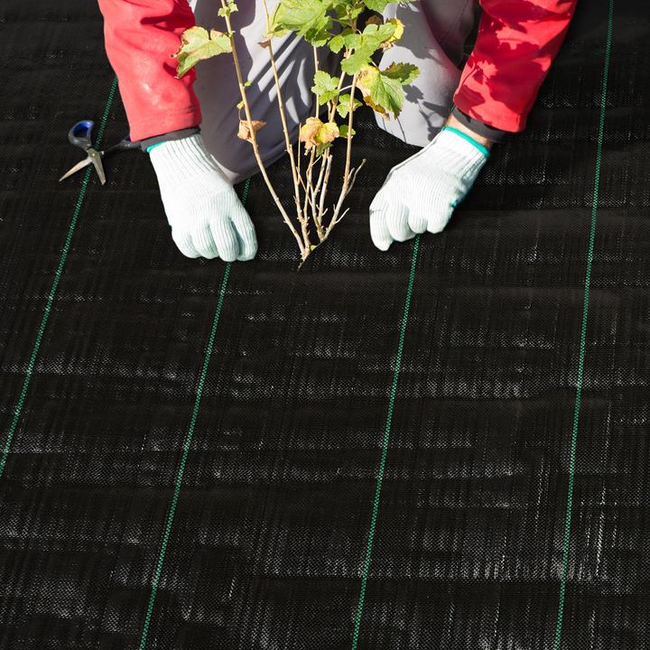 Actual product image Relaxdays Weed film