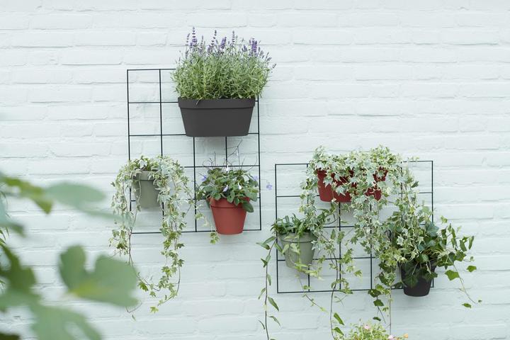 Immagine prodotto Elho Loft Urban Green Fioriera da parete singola (15 cm)