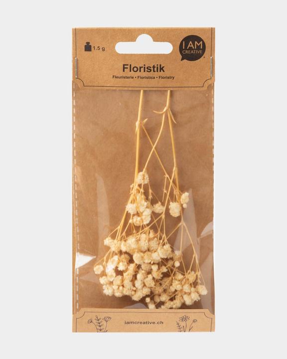 Produktbild I Am Creative Gypsophila getrocknet (Trockenblumen)