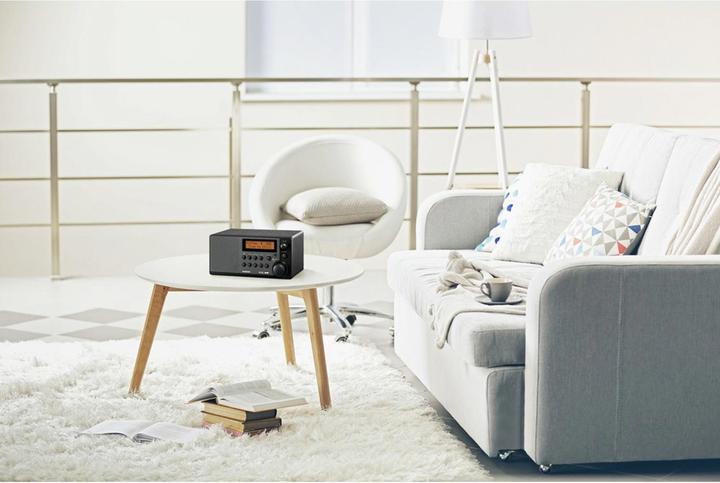 Actual product image Sangean Ddr-31+ (FM, DAB+)