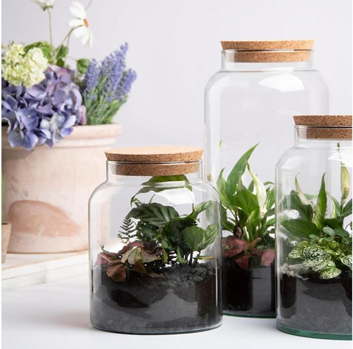 Actual product image Esschert Design Terrarium Bottle S