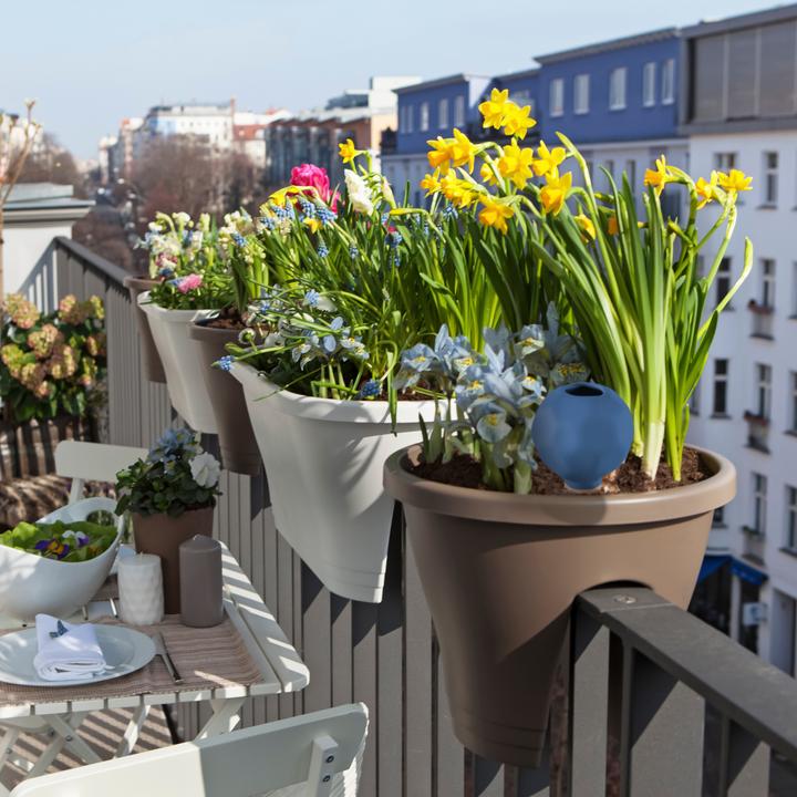 Produktbild Relaxdays Bewässerungskugeln (Bewässerungskugeln)