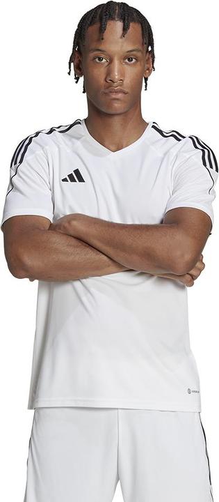 Actual product image adidas Tiro 23 Jersey Men (L)
