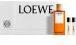 Actual product image Loewe SOLO EL EDT SPRAY 100 ML NAV24 SETS (Eau de toilette)