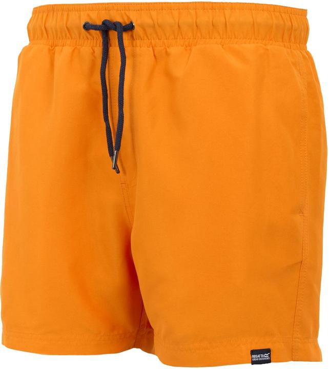 Actual product image Regatta Mens Mawson II Swim Shorts (L)