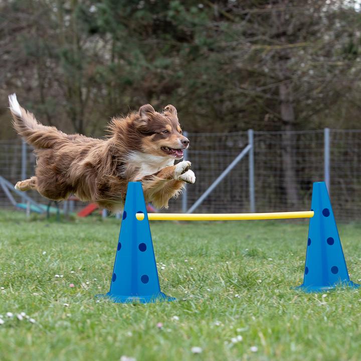 Produktbild Relaxdays 18-tlg. Steckhürdenset (Agility)