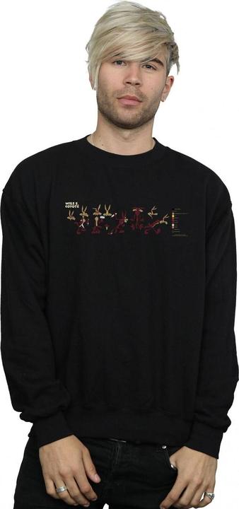 Produktbild Looney Tunes Wile E Coyote Colour Code Sweatshirt (L)