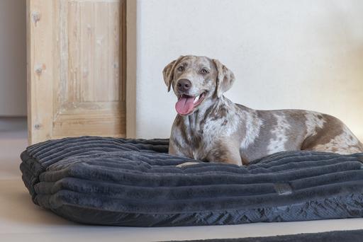 Produktbild Designed by Lotte Liegekissen Reza (Hund)