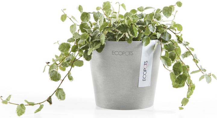 Actual product image Ecopots Amsterdam Mini (10.50 cm)