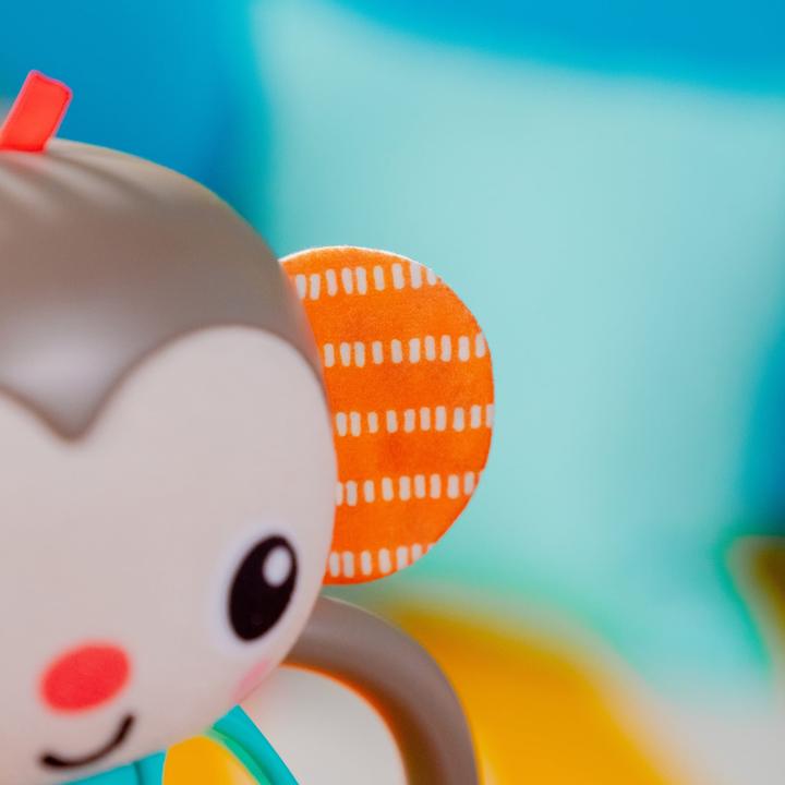 Image du produit Bright Starts Grab n' Shake Monkey Oball