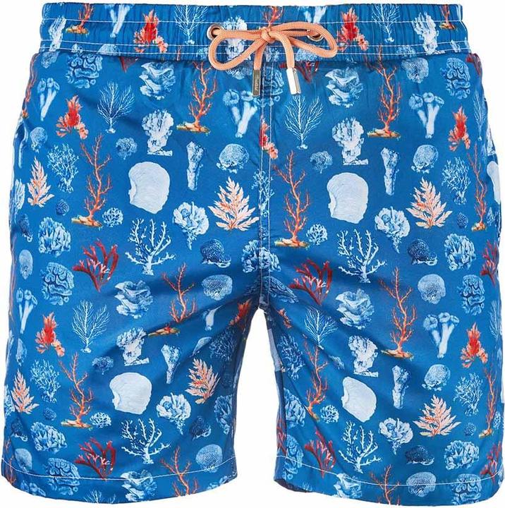 Moustard Coral Trunks