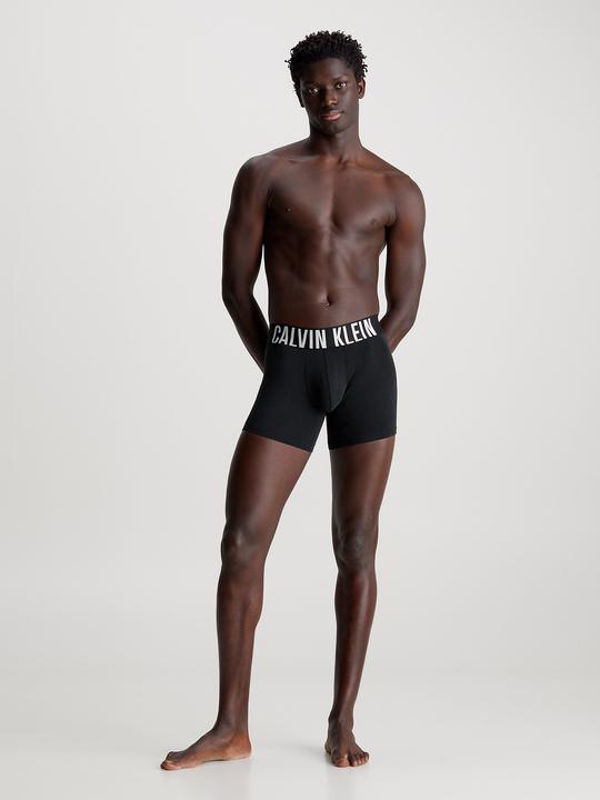 Actual product image Calvin Klein Boxer Brief 3pk (L, pack of 3)