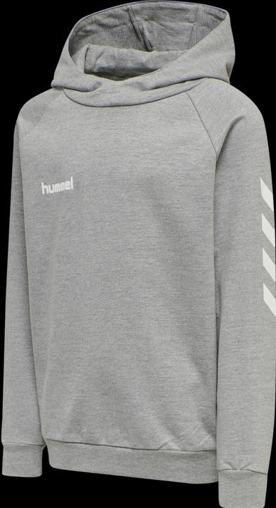 Image du produit hummel Go Kids Hoodie En Coton (116)