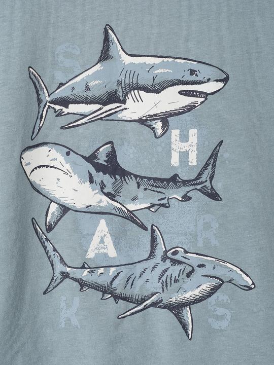 Image du produit Vertbaudet T-shirt garçon imprimé animalier en coton recyclé (116)