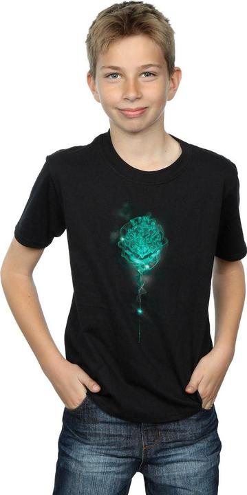 Immagine prodotto Hogwarts Crest Mist Maglietta Ragazzi (116)