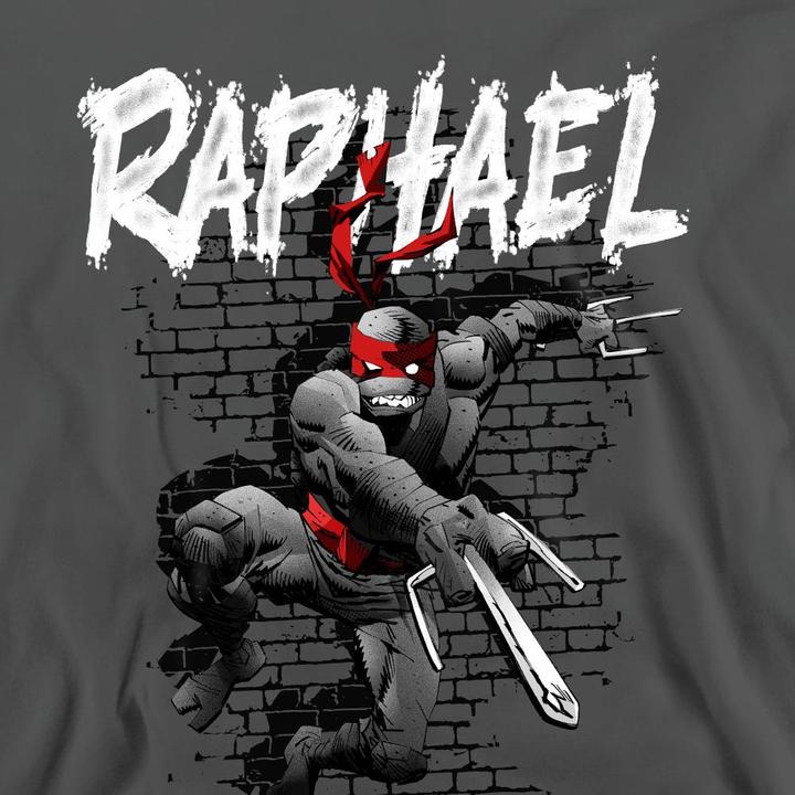 Actual product image Teenage Mutant NT Unisex Adult Raphael Sweatshirt (L)