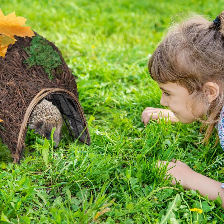Actual product image Relaxdays Hedgehog House