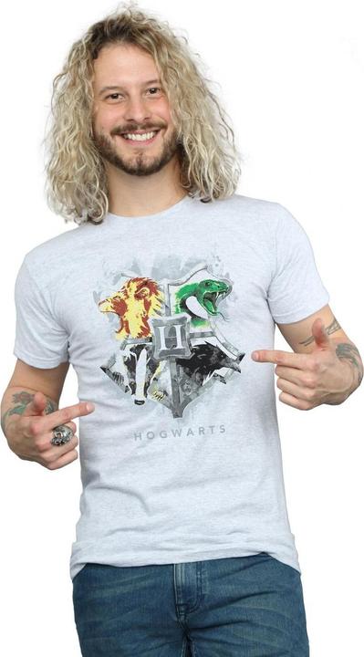 Image du produit - T-shirt HOGWARTS PAINTED CREST - Homme (3XL)